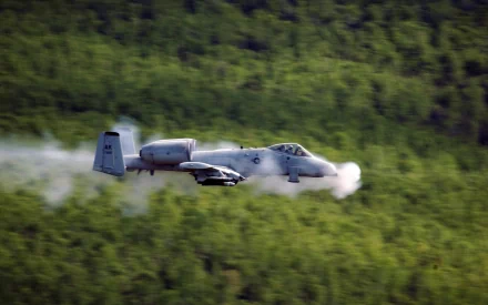 HD desktop wallpaper featuring a Fairchild Republic A-10 Thunderbolt II military aircraft flying low over a lush green forest.