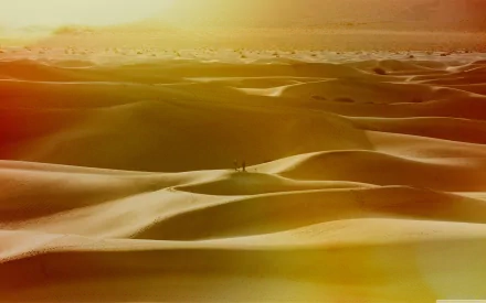 adventure nature desert HD Desktop Wallpaper | Background Image