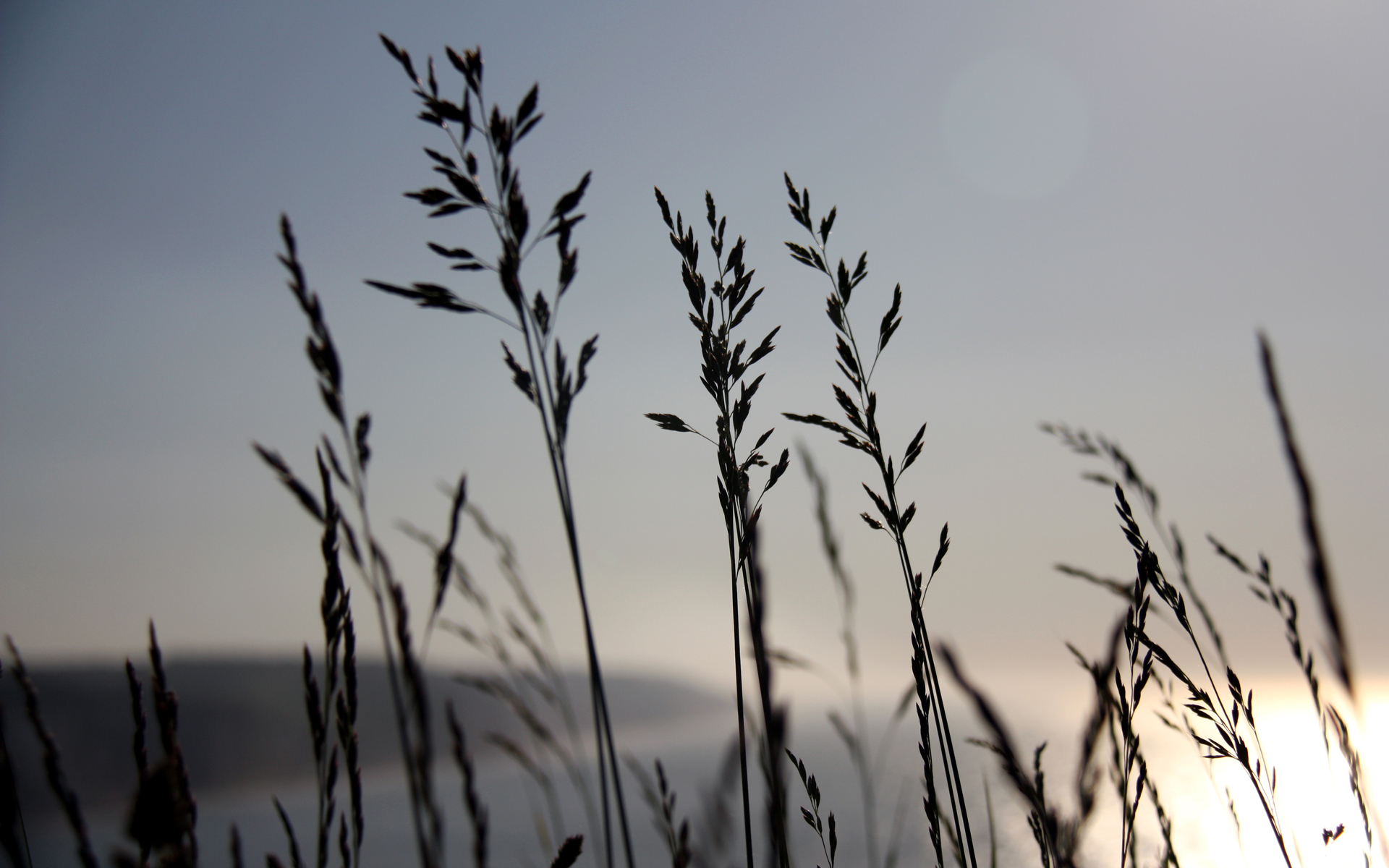 Photography Macro HD Wallpaper | Background Image