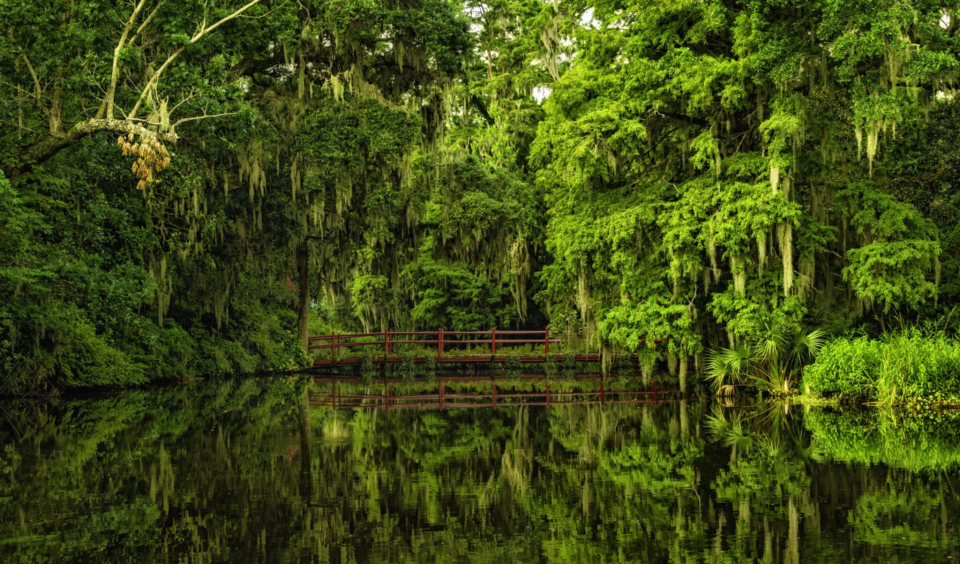 HD desktop wallpaper of a man-made bridge in South Carolina, surrounded by dense green foliage, reflected clearly in calm water.