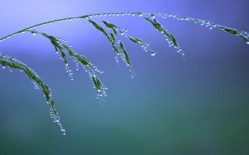 672 Water Drop HD Wallpapers | Background Images - Wallpaper Abyss - Page 3