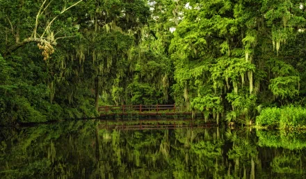 HD desktop wallpaper of a man-made bridge in South Carolina, surrounded by dense green foliage, reflected clearly in calm water.