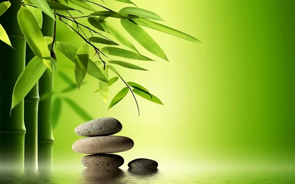HD desktop wallpaper featuring a zen-inspired design with stacked stones and bamboo leaves against a vibrant green background.