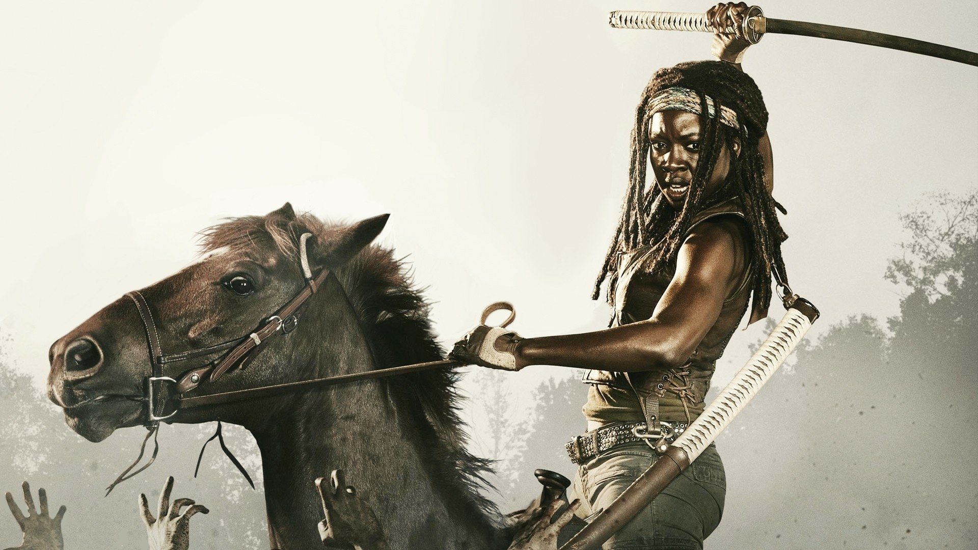 72 Michonne The Walking Dead Hd Wallpapers Background Images Images, Photos, Reviews