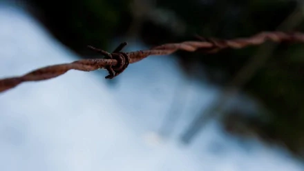 HD desktop wallpaper featuring a close-up of rusty barbed wire with a blurred background.