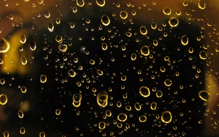 photography raindrops HD Desktop Wallpaper | Background Image