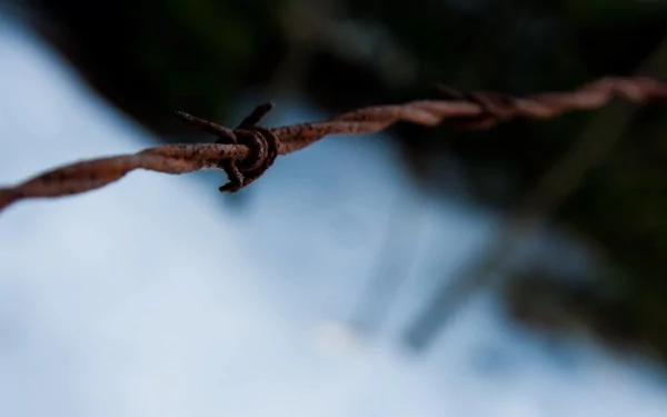 HD desktop wallpaper featuring a close-up of rusty barbed wire with a blurred background.