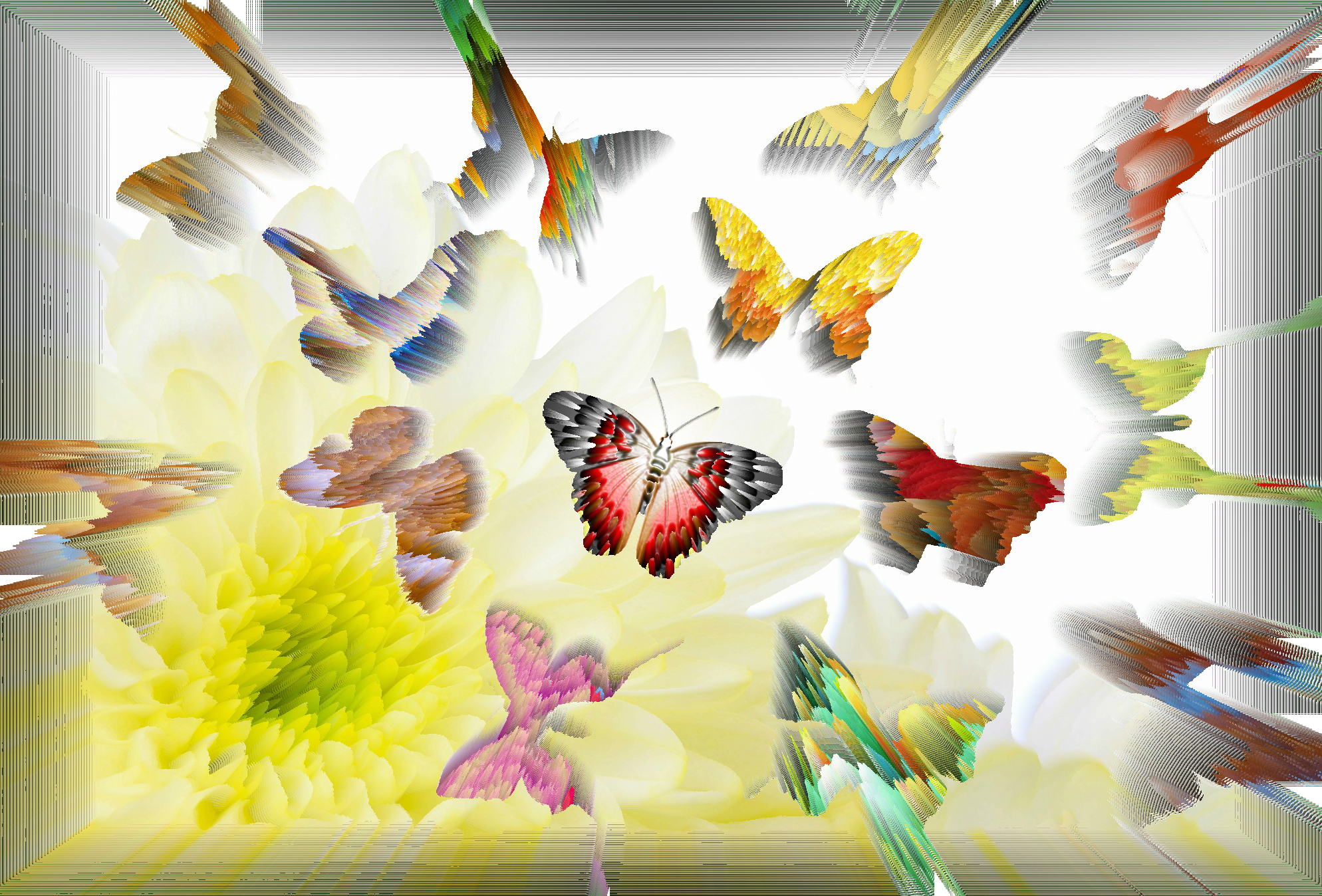Artistic Butterfly HD Wallpaper | Background Image