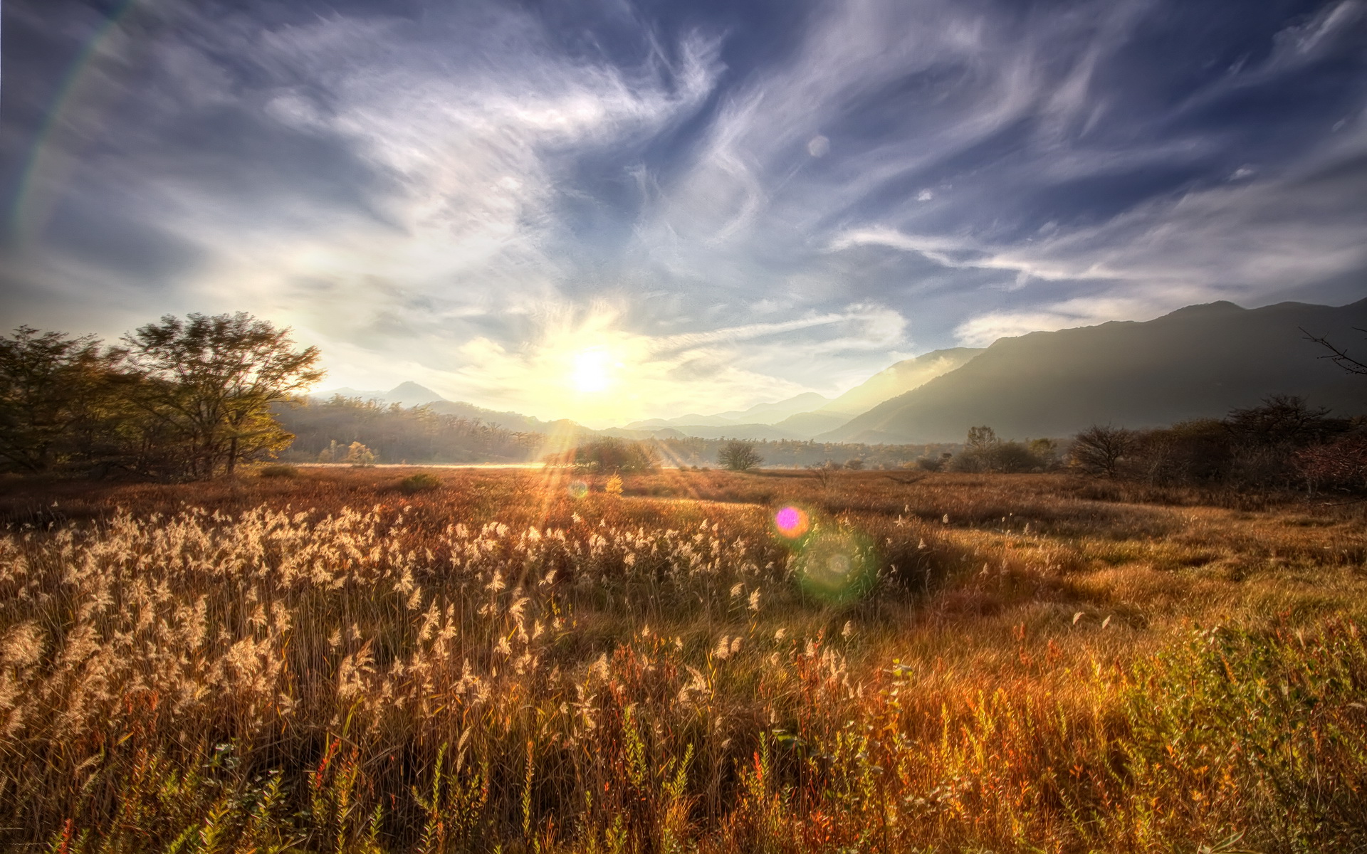 Sunbeam HD Wallpaper Background Image 1920x1200