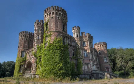 HD wallpaper of Castle Moulbaix in Belgium, showcasing its intricate gothic towers draped in ivy, under a clear blue sky.
