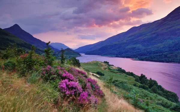 A vibrant sunset paints the sky in hues of orange and purple above a serene river, framed by lush grass and blooming flowers along the banks, creating a stunning natural landscape.