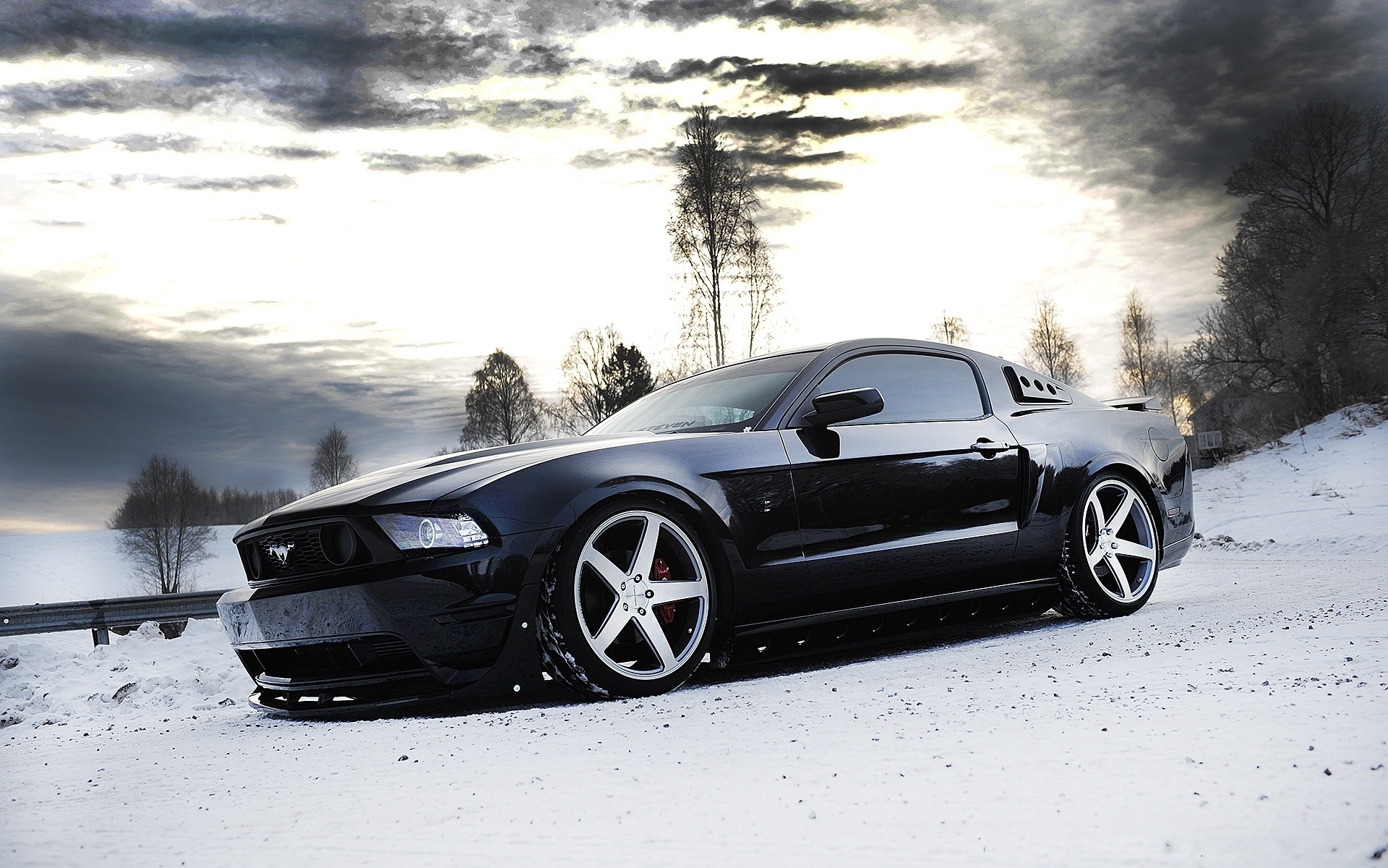 Ford Mustang HD Wallpaper | Background Image | 1920x1200 | ID:428508