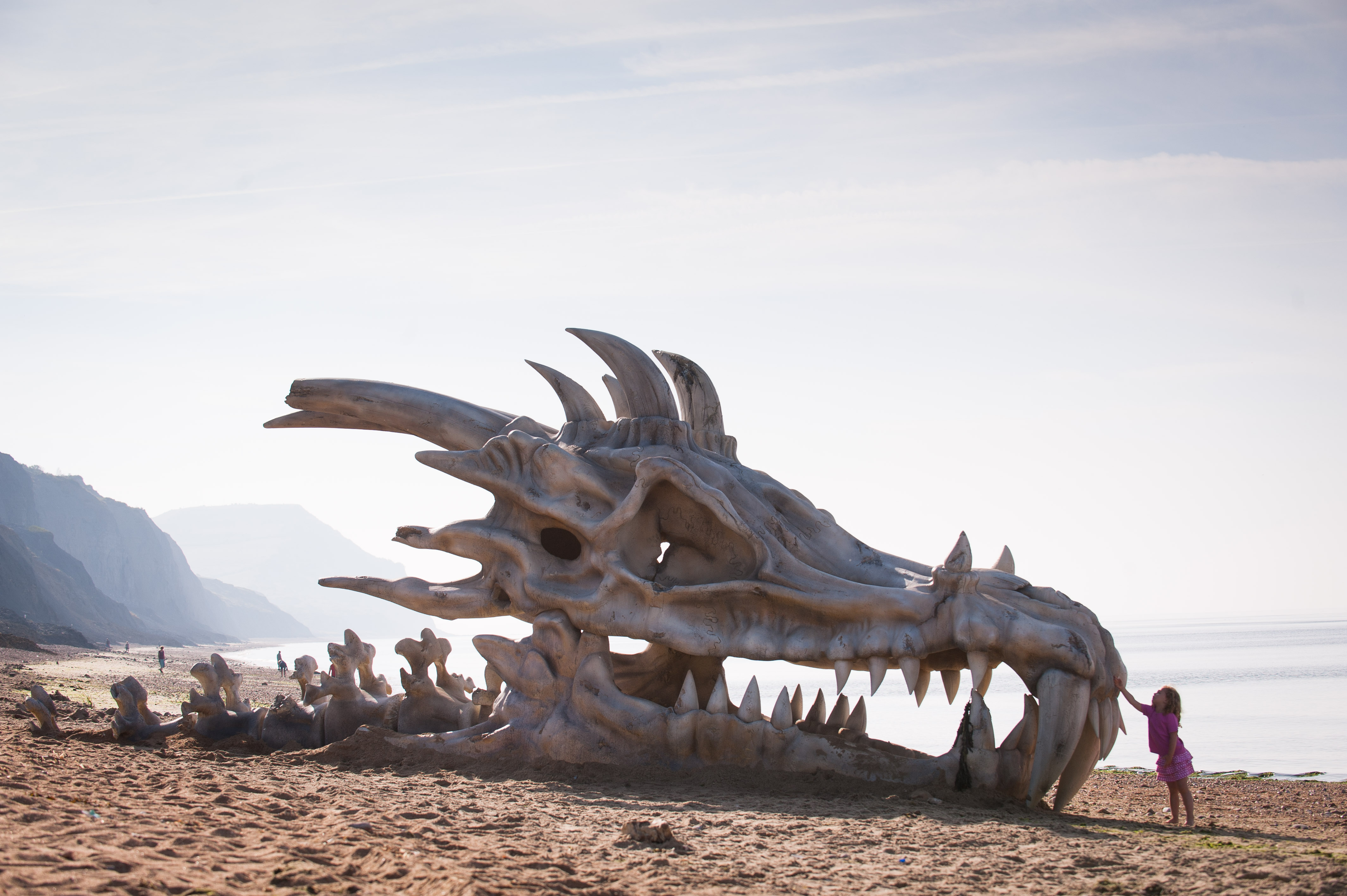 Покажи фотографии дракона. Череп дракона л2. Юрское побережье череп дракона. Доракен в реальной жизни.