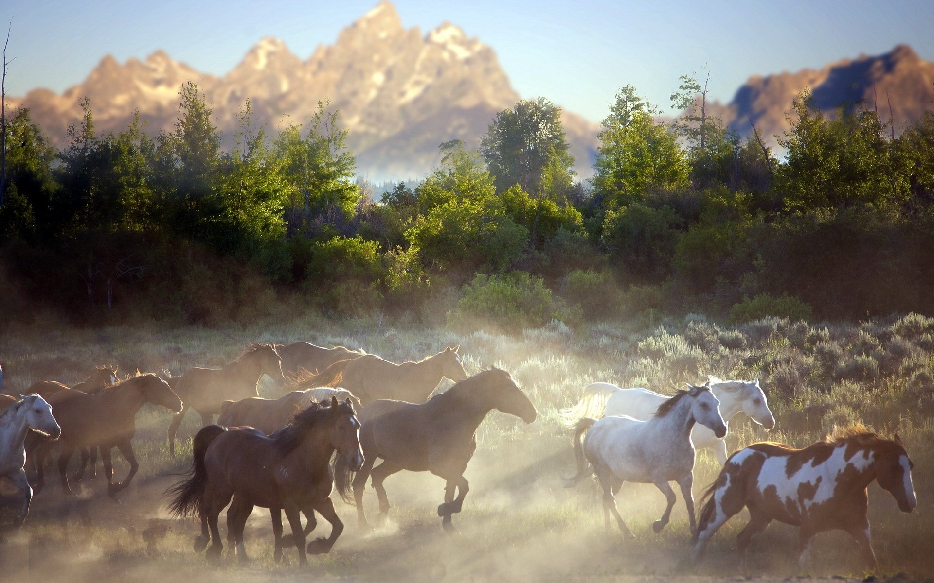 A captivating HD wallpaper featuring a herd of horses running through a misty landscape, with majestic mountains and lush greenery in the background.