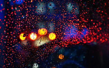 photography raindrops HD Desktop Wallpaper | Background Image