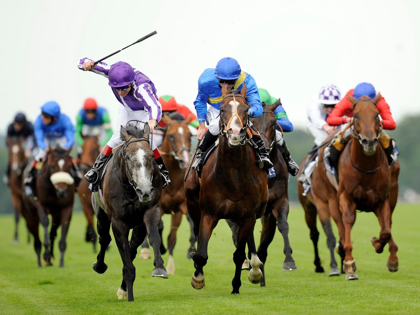 Thrilling Horse Racing Action HD Sports Wallpaper 1600x1200 