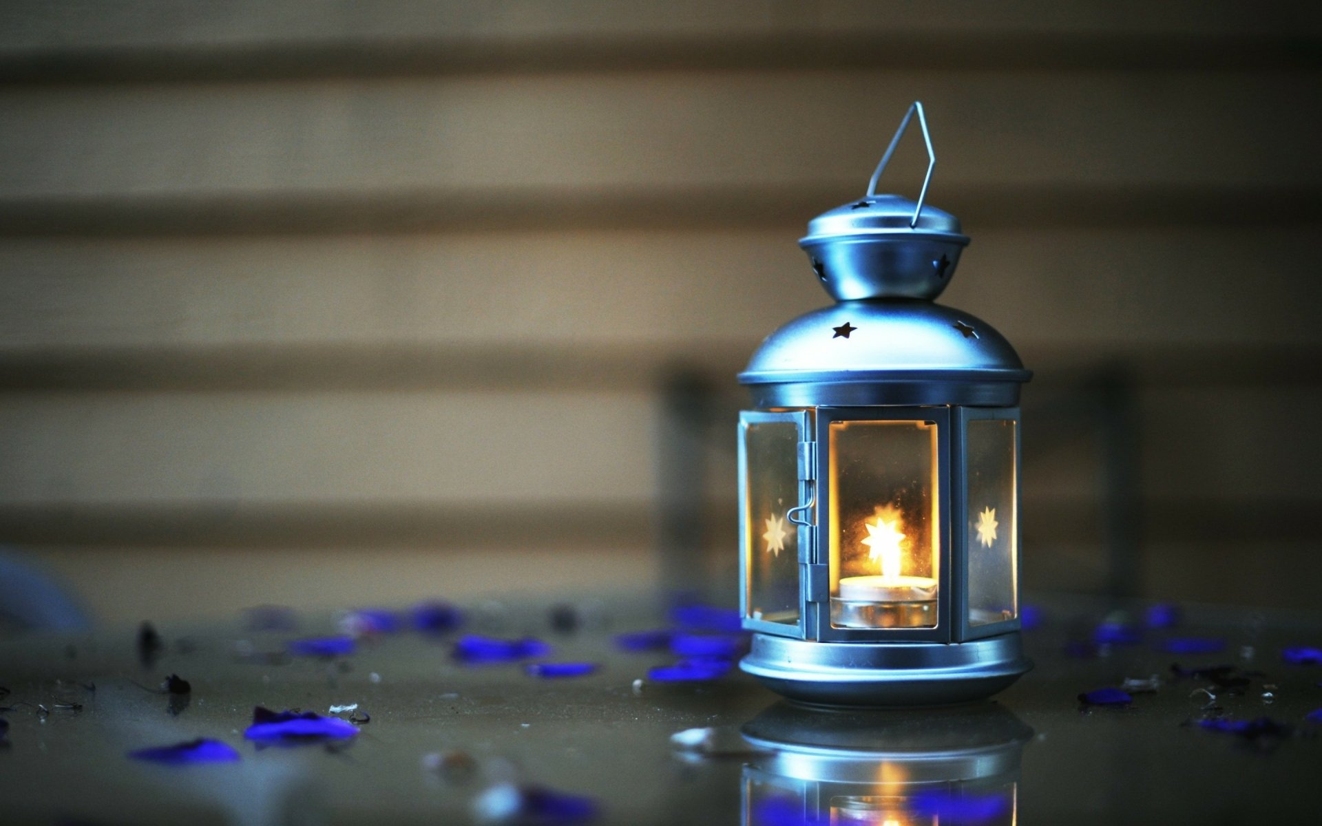 HD PC desktop wallpaper showing a man-made lantern glowing softly on a reflective surface with blurred background and small scattered petals.
