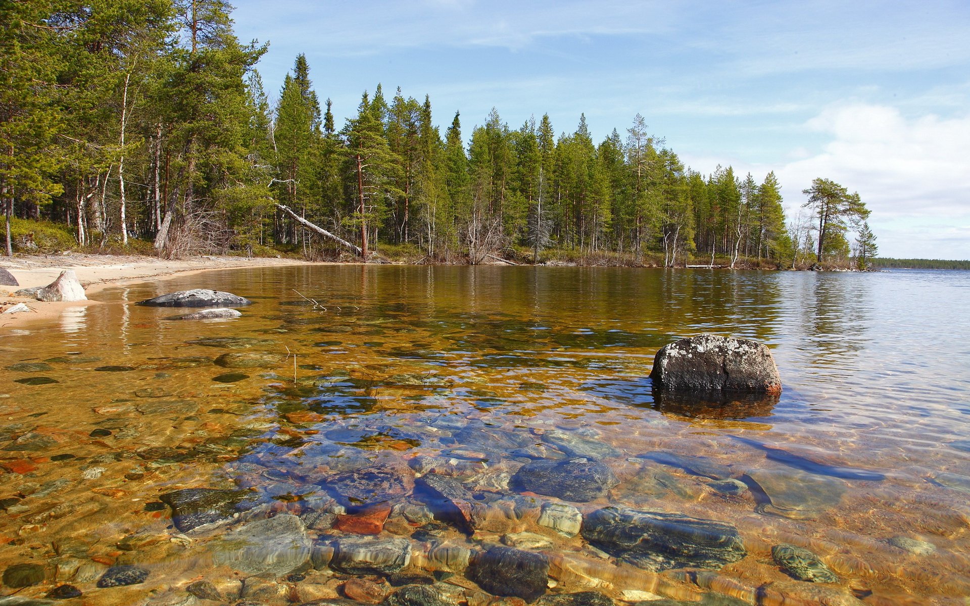 HD desktop wallpaper of a clear lake with visible stones underwater, bordered by a dense forest of green trees under a partly cloudy sky.