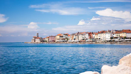 man made piran HD Desktop Wallpaper | Background Image