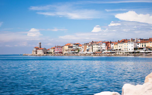 man made piran HD Desktop Wallpaper | Background Image