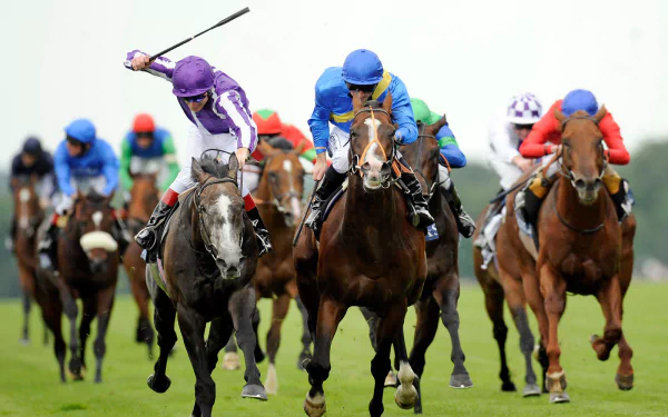 HD PC desktop wallpaper featuring an intense horse racing scene with jockeys in vibrant colors competing on a grassy track, highlighting the excitement of sports.