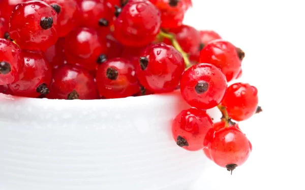 food currants HD Desktop Wallpaper | Background Image