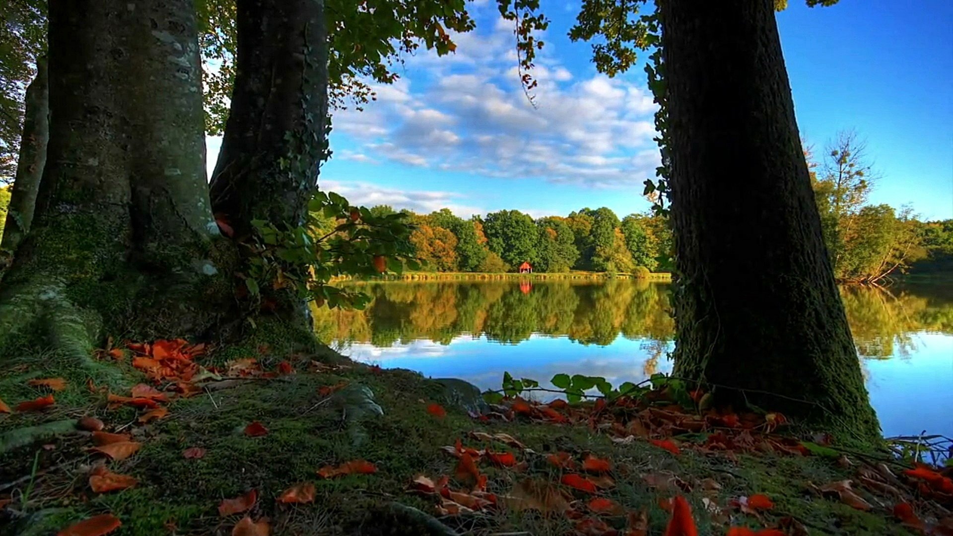 Download Nature Lake HD Wallpaper