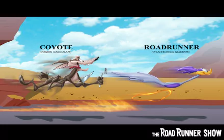 HD PC desktop wallpaper featuring Wile E. Coyote and The Road Runner from the Looney Tunes TV show in a dynamic desert chase scene.