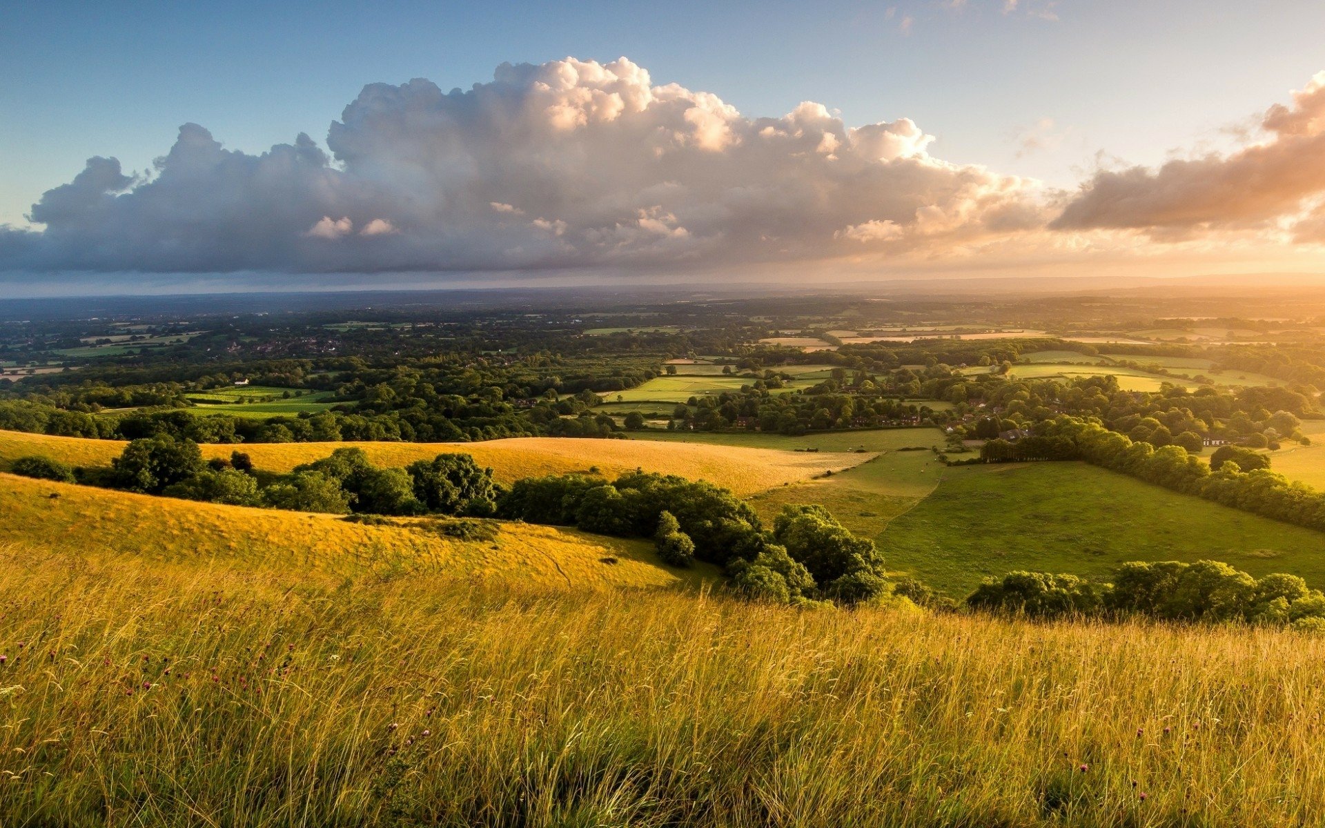 A serene landscape showcasing rolling hills and lush greenery under a bright sky, capturing the essence of nature's beauty. Designed as a high-definition desktop wallpaper.