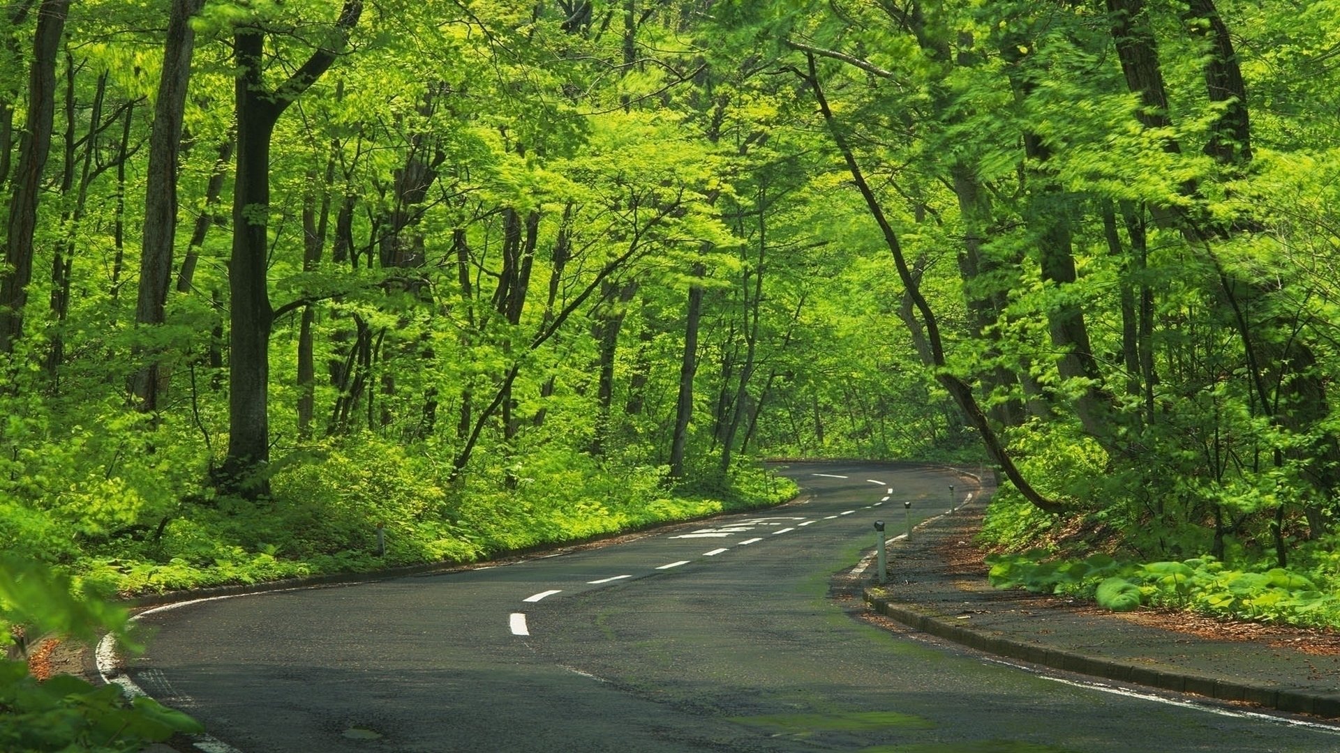 Download Man Made Road HD Wallpaper