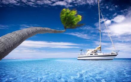 HD PC desktop wallpaper of a sailboat vehicle drifting on crystal-clear turquoise sea under a bright blue sky, with a curved palm tree framing the scene.
