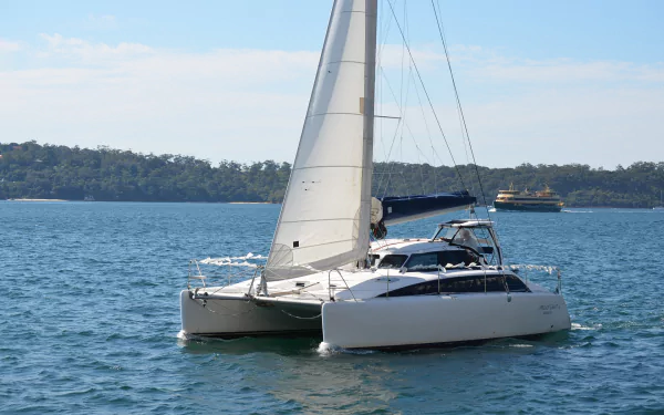 A sleek white sailboat glides across the blue waters near Sydney, captured in this HD desktop wallpaper featuring a yacht and sailing vehicle.