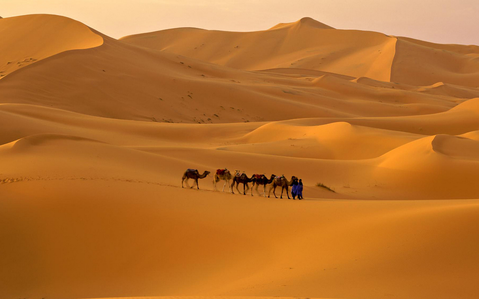 Photography Sahara HD Wallpaper | Background Image