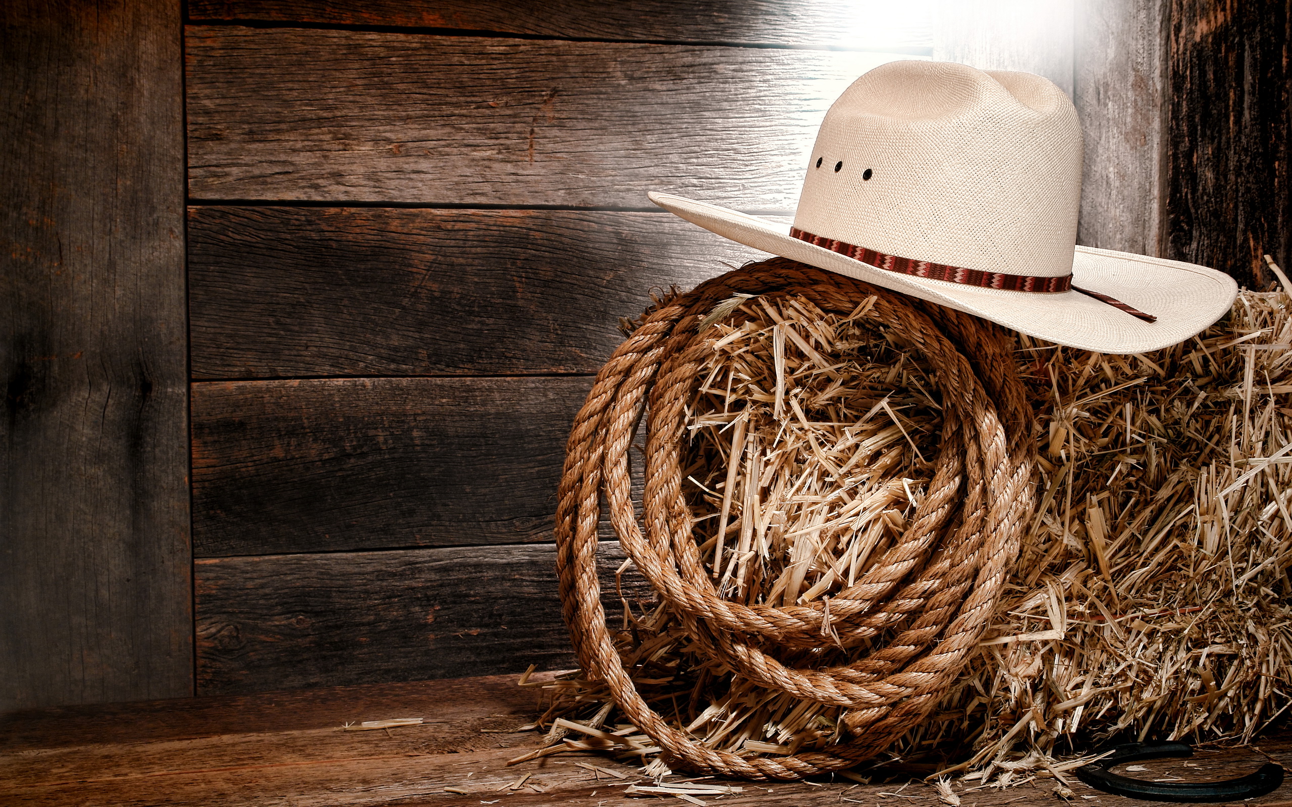 Rope and Cowboy Hat on a Bale of Hay