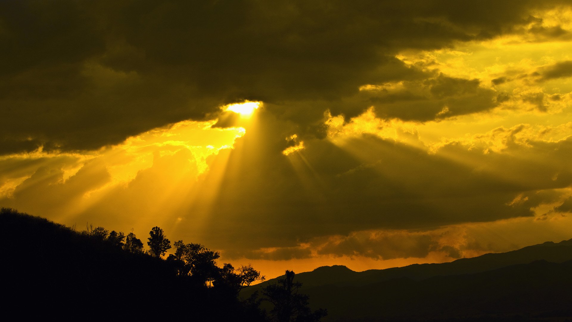 Download Nature Sunset HD Wallpaper