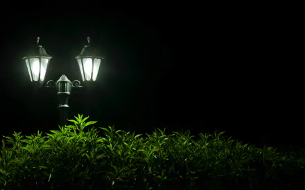 man made lamp post HD Desktop Wallpaper | Background Image