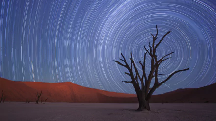 HD desktop wallpaper showing a barren desert landscape with a lone tree under a swirling star trail night sky.