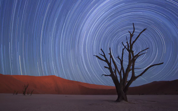 HD desktop wallpaper showing a barren desert landscape with a lone tree under a swirling star trail night sky.
