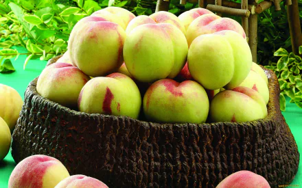 food peach HD Desktop Wallpaper | Background Image