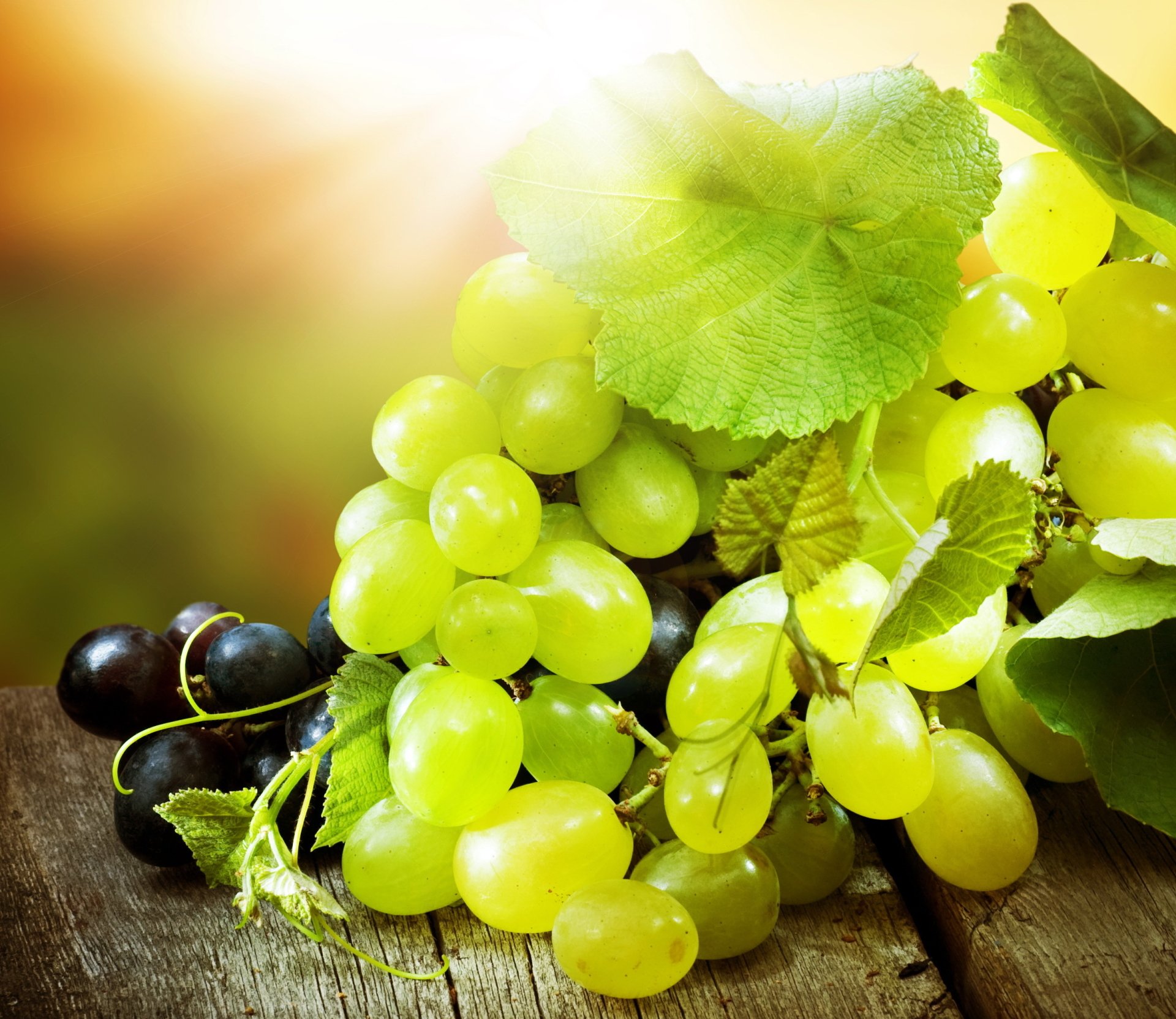 Grapes HD Wallpaper | Background Image | 2510x2174 | ID:439104