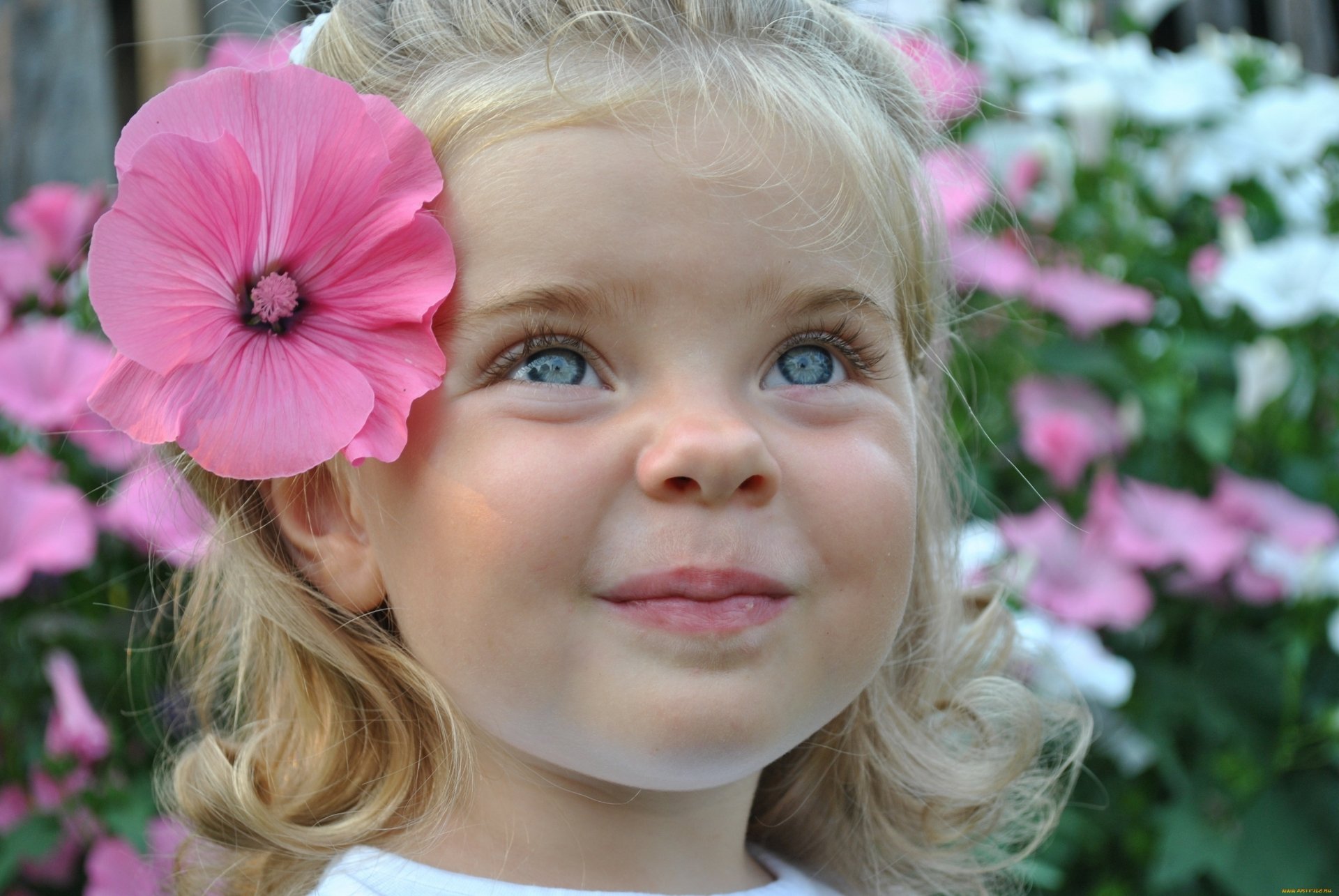 HD photography of a smiling child with blue eyes and a large pink flower tucked behind her ear, set against a vibrant floral background for PC desktop wallpaper.