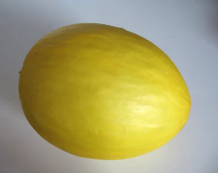 HD desktop wallpaper featuring a whole honeydew melon with smooth yellow skin against a plain background.