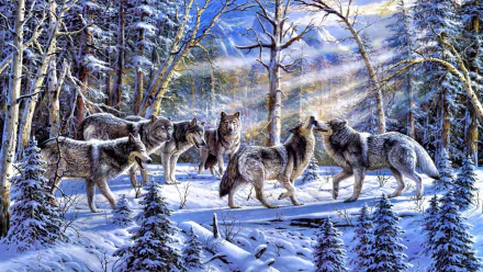 HD PC desktop wallpaper featuring a pack of wolves standing in a snowy forest with sunlight streaming through the trees, capturing a serene winter wildlife scene.