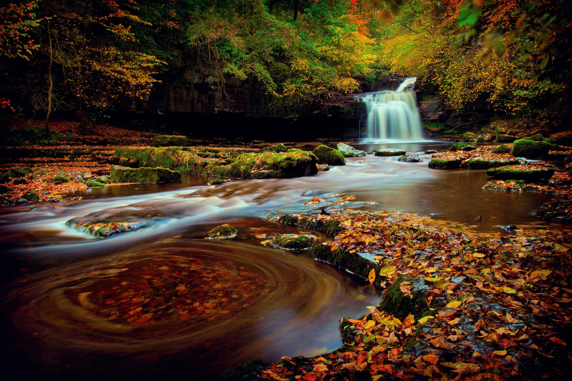 Autumn Creek Waterfall: Serenity in Nature’s Forest Embrace | 2048x1365 ...