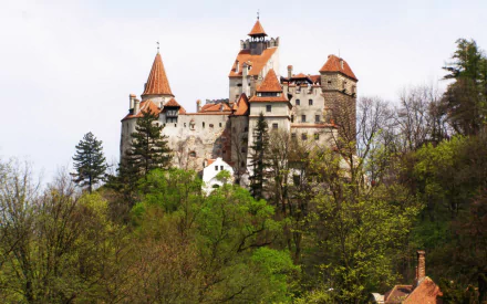 HD desktop wallpaper featuring the man-made Bran Castle surrounded by trees under a clear sky.