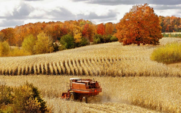HD PC desktop wallpaper showing a harvester vehicle working in a golden autumn field surrounded by colorful fall trees under a cloudy sky.