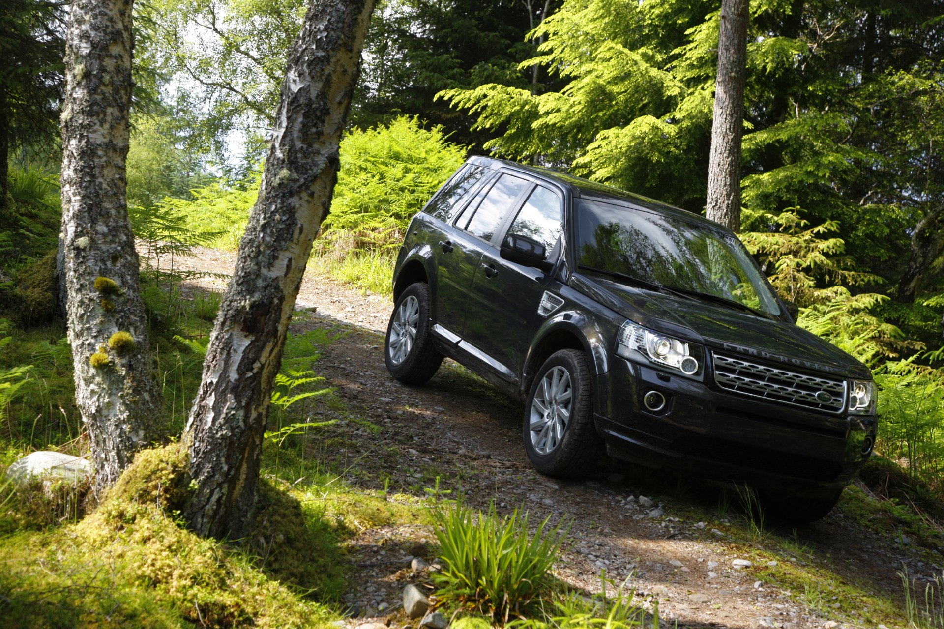 Land rover главная дорога