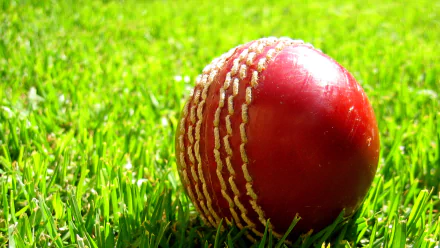 A close-up of a red leather cricket ball with white stitches on green grass. The image is a high-definition desktop wallpaper and background, tagged under cricket and sports.