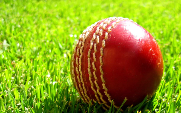 A close-up of a red leather cricket ball with white stitches on green grass. The image is a high-definition desktop wallpaper and background, tagged under cricket and sports.