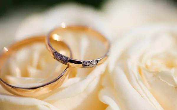Close-up of two elegant gold rings resting on creamy white roses, showcasing intricate jewelry craftsmanship against a soft, romantic background.